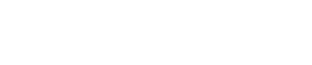 Flash Logo